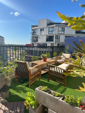 Cozy apartment in Barrio Olímpico